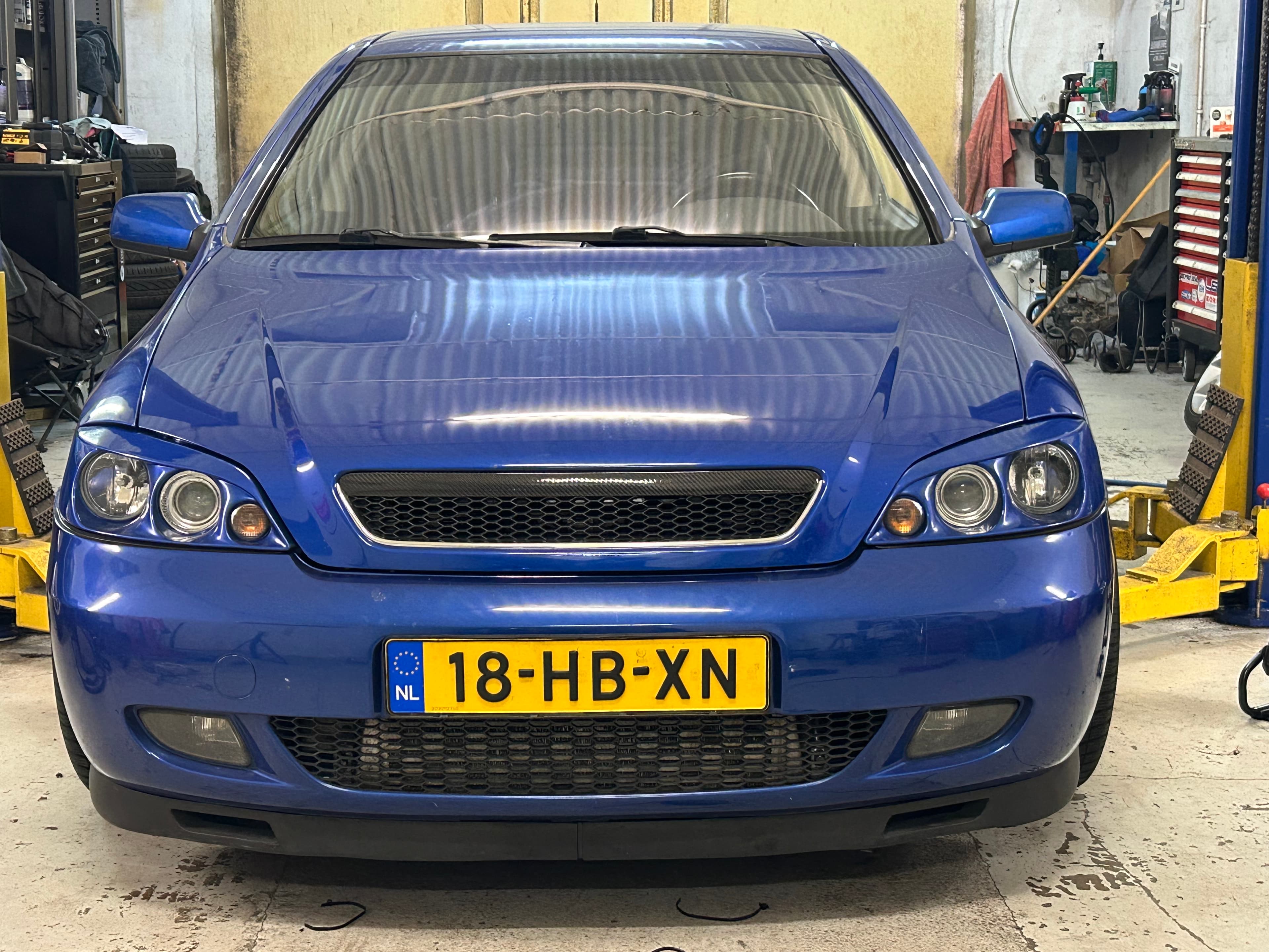 Morette | Head lights image 5