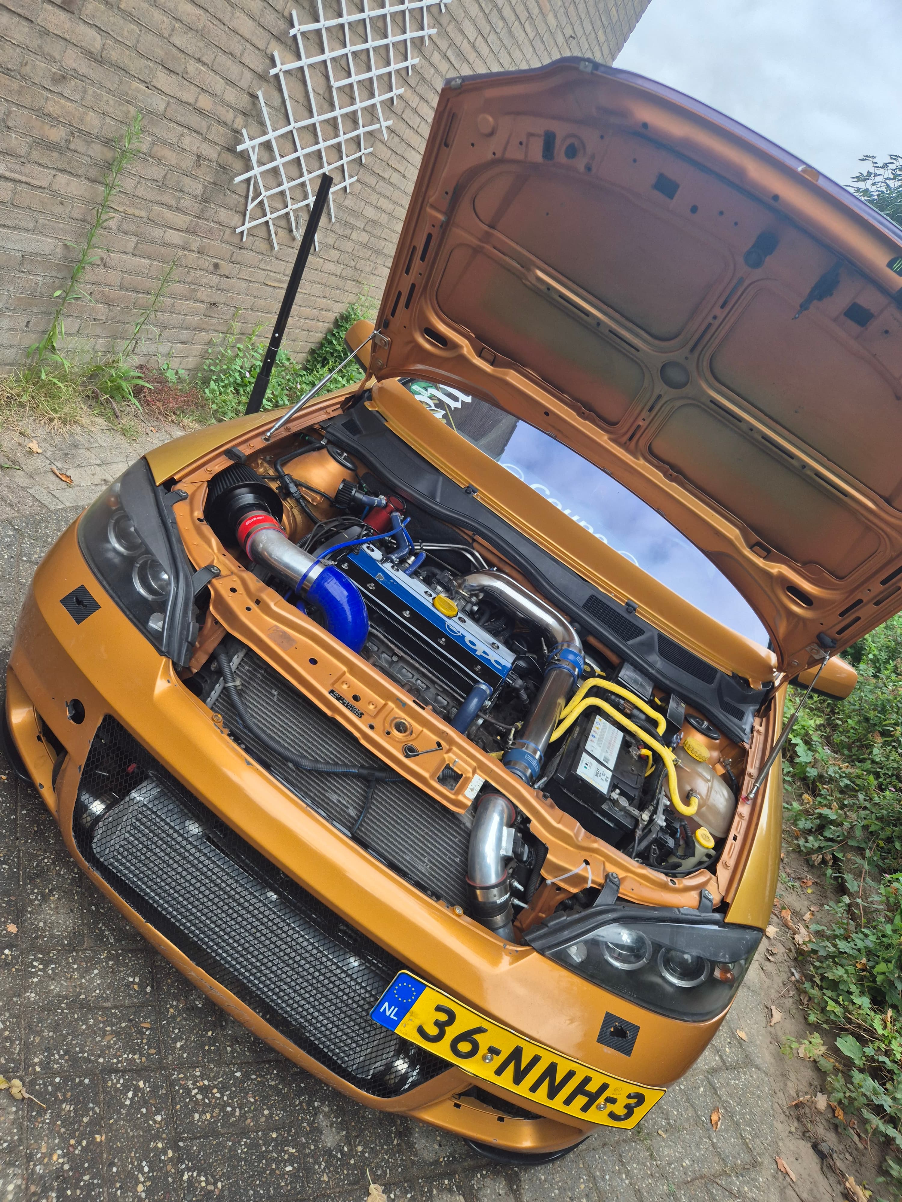 Yellow-coupe image 3